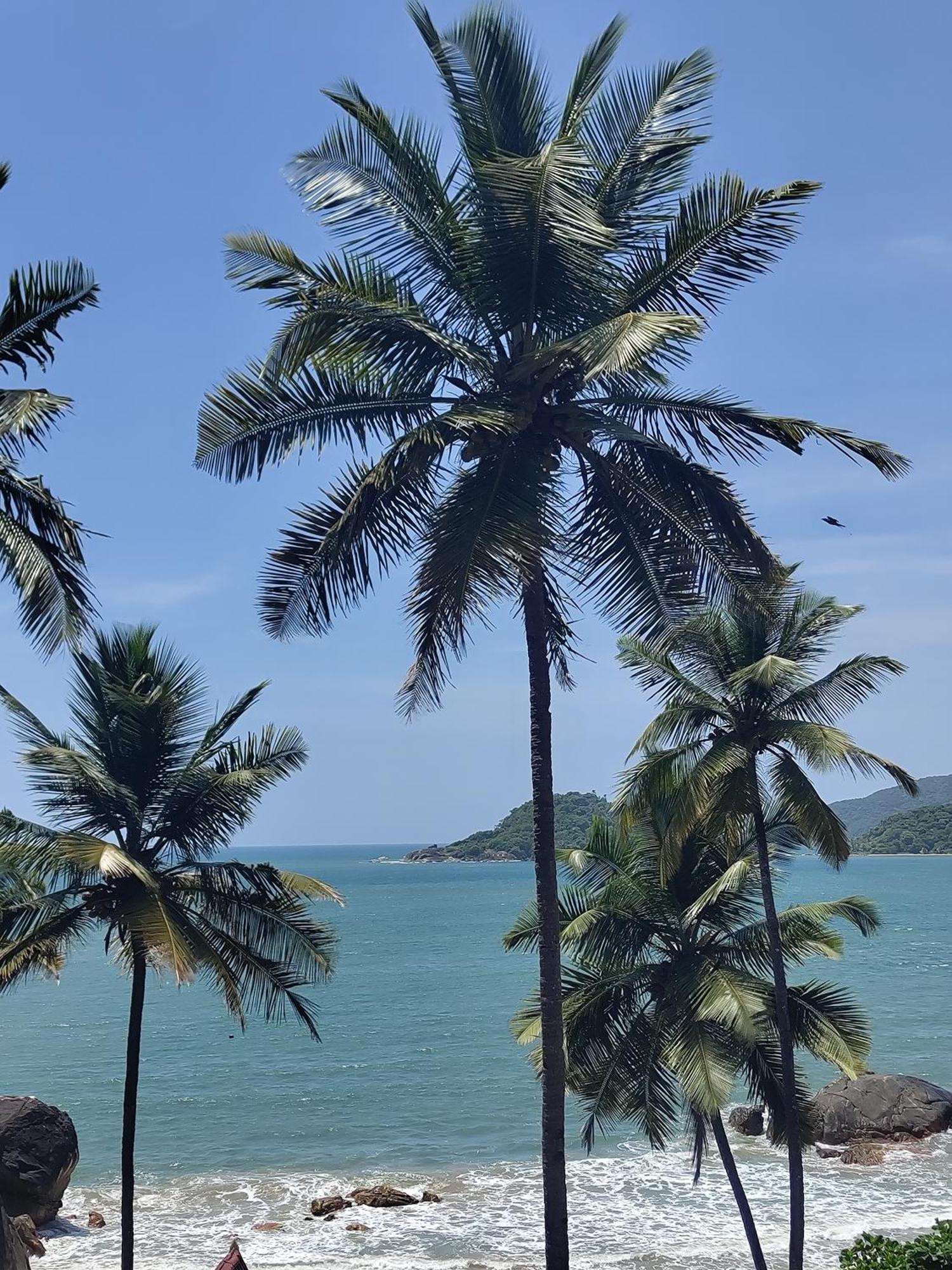 Hotel Hilltop Seaview Palolem Goa Exteriér fotografie