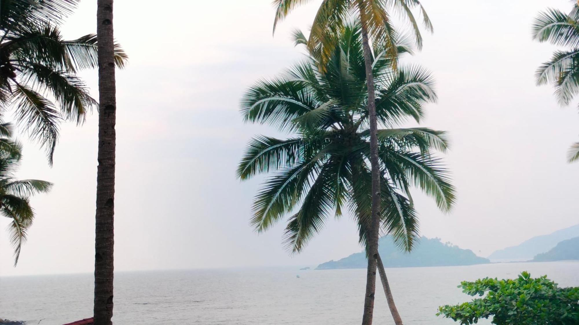 Hotel Hilltop Seaview Palolem Goa Pokoj fotografie