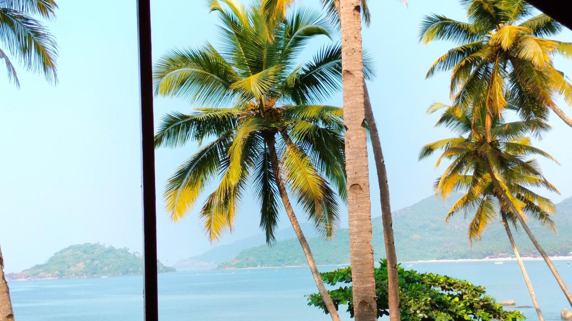 Hotel Hilltop Seaview Palolem Goa Pokoj fotografie